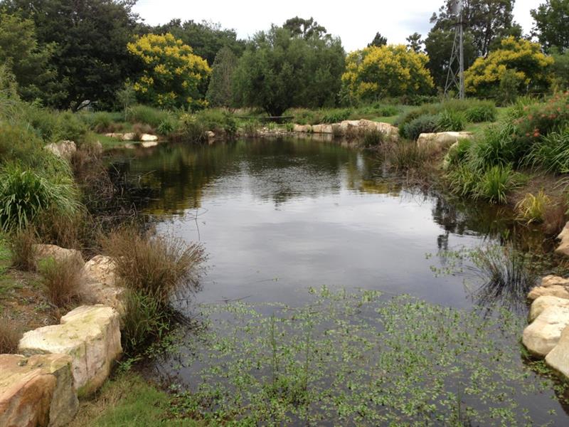 Sustainable Landscaping